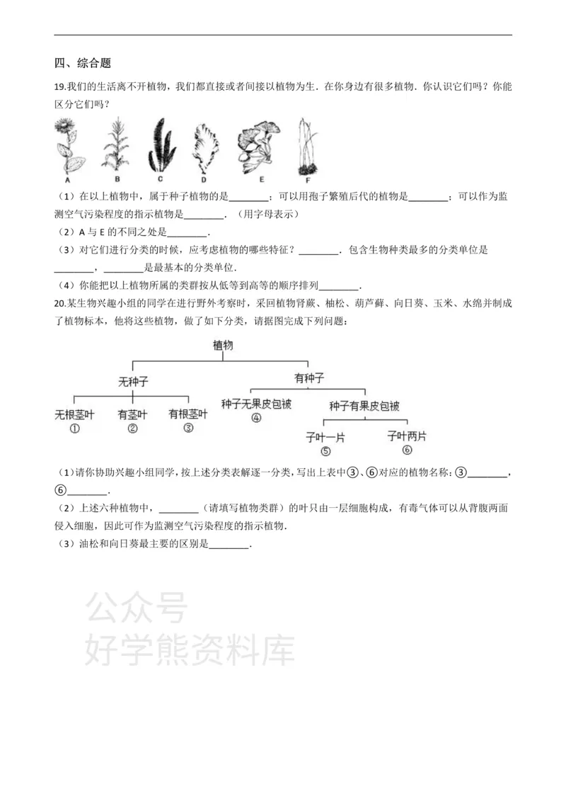 《七年级上册生物第五章生物的分类和鉴别单元测试（含解析）_初高中资料库_初中资料库（转存避免链接过期失效）_初中生物》第3页预览