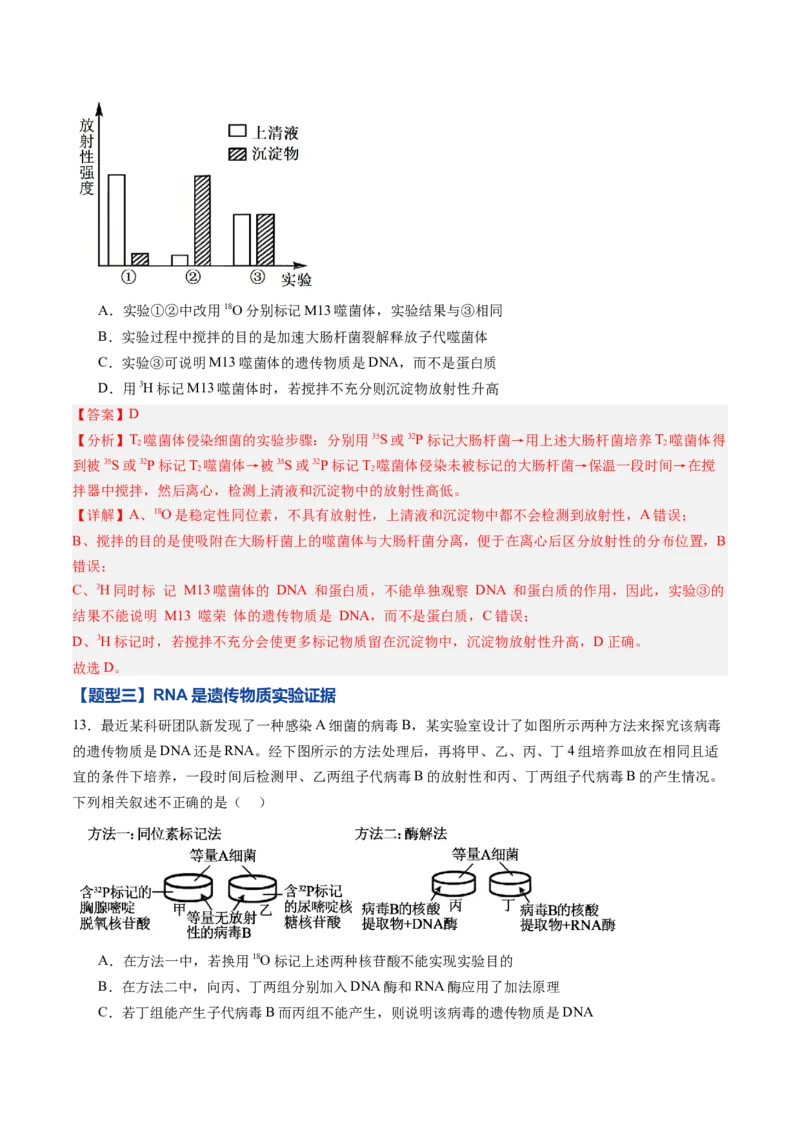 《第17讲DNA是主要的遗传物质（专项训练）（黑吉辽蒙专用）（教师版）_高考一二三轮复习_生物_2026年高考生物一轮_2026年高考生物一轮课件+讲义+练习（黑吉辽蒙专用）-G330》第8页预览