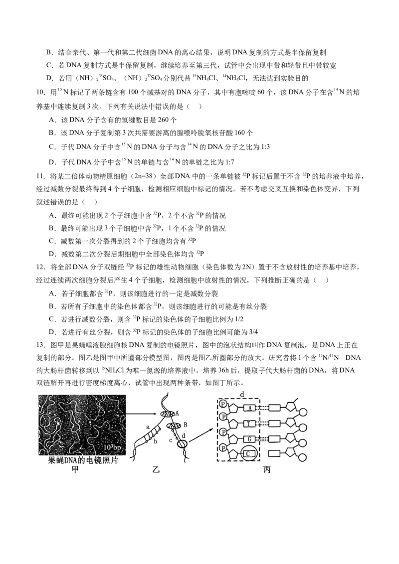 《第21讲DNA分子的结构、复制和基因的本质（专项训练）（福建专用）（学生版）_高考一二三轮复习_生物_2026年高考生物一轮_2026年高考生物一轮课件+讲义+练习（福建专用）-G328》第4页预览