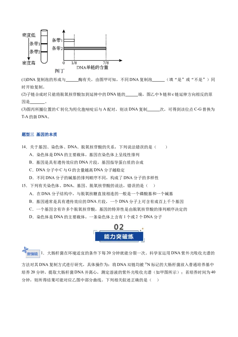 《第21讲DNA分子的结构、复制和基因的本质（专项训练）（福建专用）（学生版）_高考一二三轮复习_生物_2026年高考生物一轮_2026年高考生物一轮课件+讲义+练习（福建专用）-G328》第5页预览