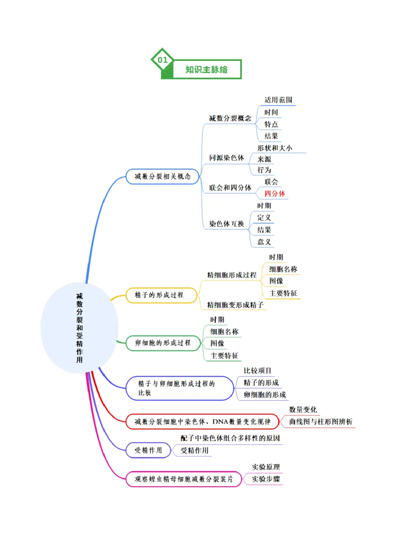 《第13讲减数分裂和受精作用（知识清单）（全国通用）（教师版）_高考一二三轮复习_生物_2026年高考生物一轮_2026年高考生物一轮复习知识清单（全国通用）-G56_2026版》第2页预览