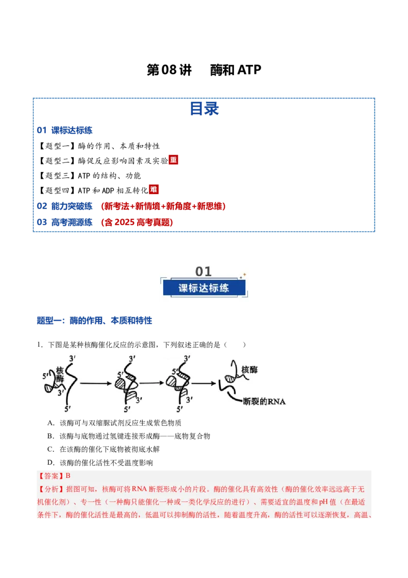 《第08讲酶和ATP（专项训练）（黑吉辽蒙专用）（教师版）_高考一二三轮复习_生物_2026年高考生物一轮_2026年高考生物一轮课件+讲义+练习（黑吉辽蒙专用）-G330》第1页预览
