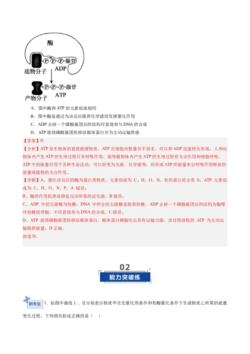 《第08讲酶和ATP（专项训练）（黑吉辽蒙专用）（教师版）_高考一二三轮复习_生物_2026年高考生物一轮_2026年高考生物一轮课件+讲义+练习（黑吉辽蒙专用）-G330》第10页预览