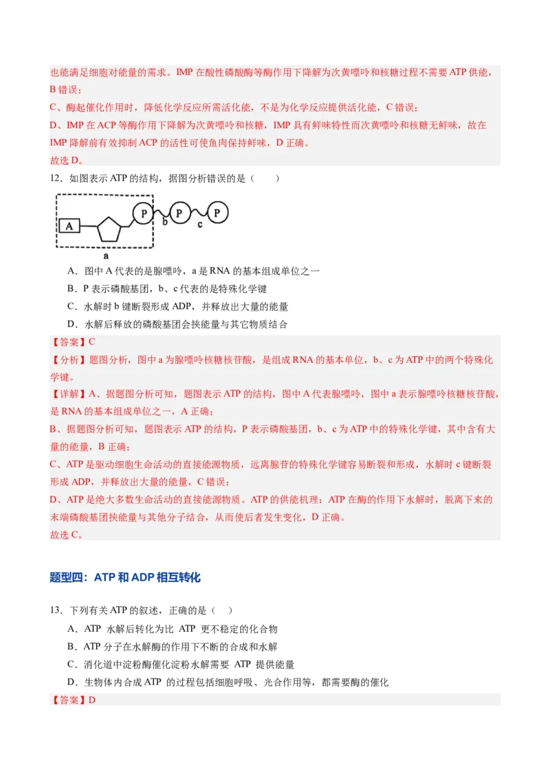 《第08讲酶和ATP（专项训练）（黑吉辽蒙专用）（教师版）_高考一二三轮复习_生物_2026年高考生物一轮_2026年高考生物一轮课件+讲义+练习（黑吉辽蒙专用）-G330》第8页预览