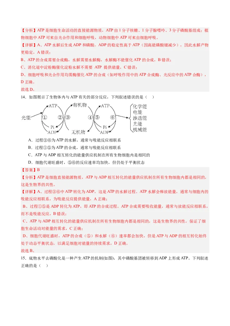 《第08讲酶和ATP（专项训练）（黑吉辽蒙专用）（教师版）_高考一二三轮复习_生物_2026年高考生物一轮_2026年高考生物一轮课件+讲义+练习（黑吉辽蒙专用）-G330》第9页预览