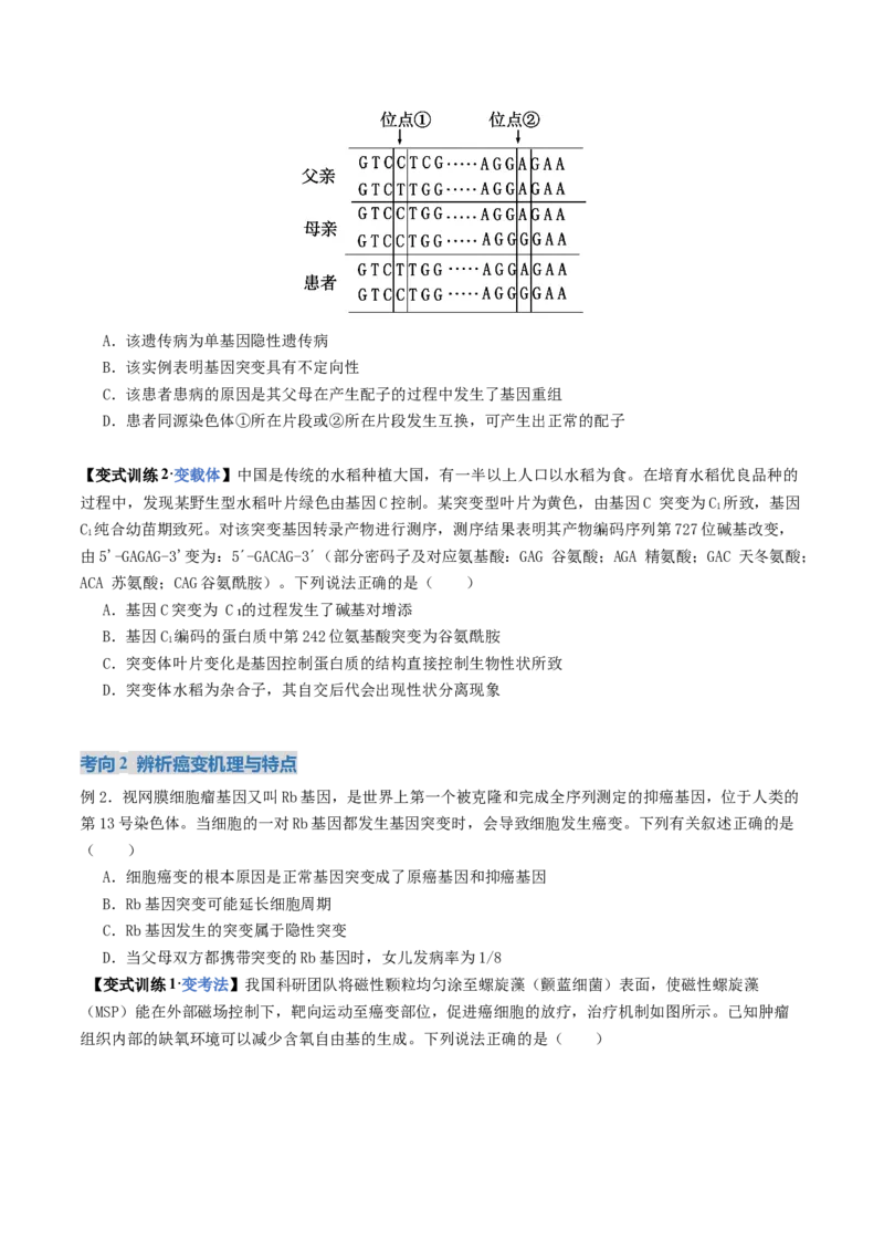 《第22讲生物的变异（复习讲义）（全国通用）（学生版）_高考一二三轮复习_生物_2026年高考生物一轮_2026年高考生物一轮复习讲义+练习+课件（新教材新高考）-G55_2026版》第7页预览