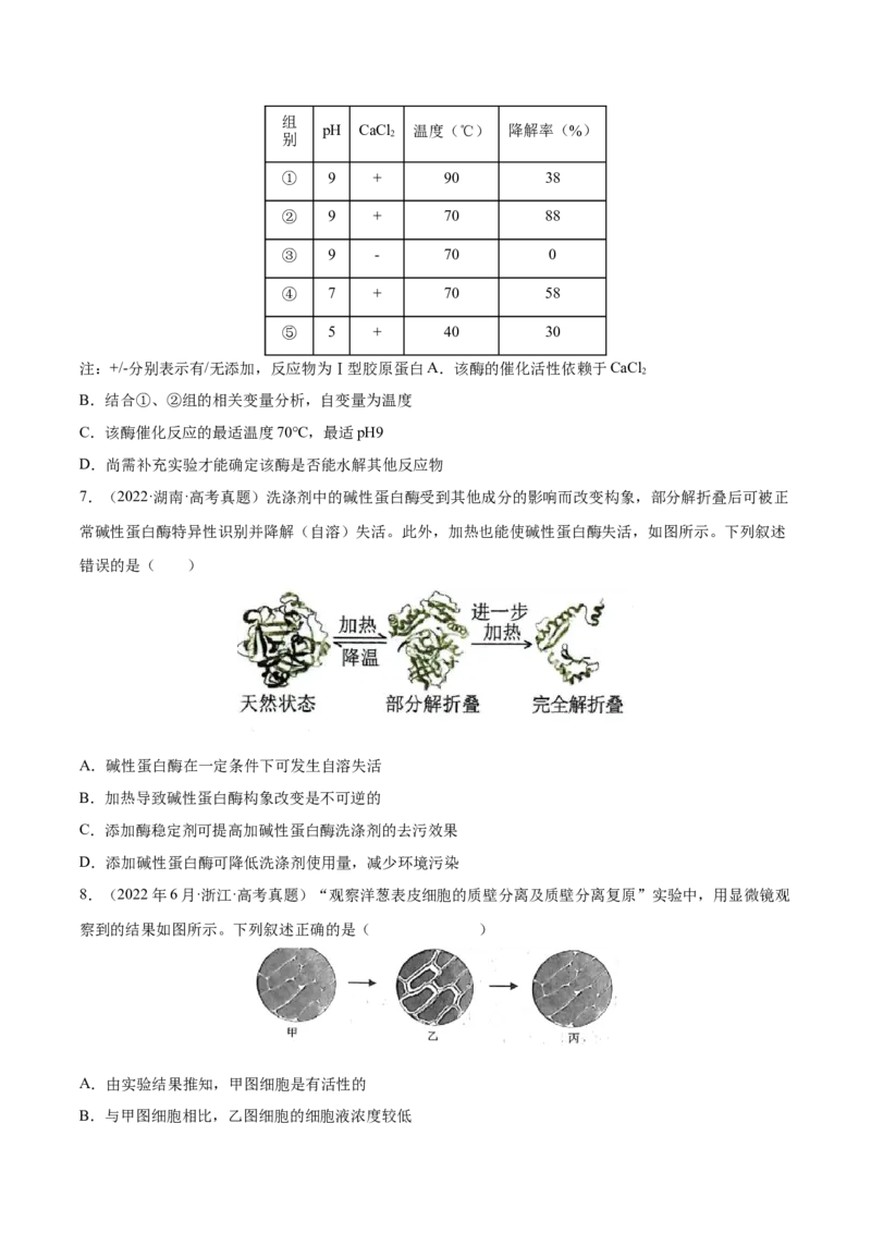 《专题02细胞的物质运输、酶与ATP-十年（2013-2022）高考生物真题分项汇编（全国通用）（学生版）_初高中资料库_高中资料库（转存避免链接过期失效）_高中生物》第3页预览