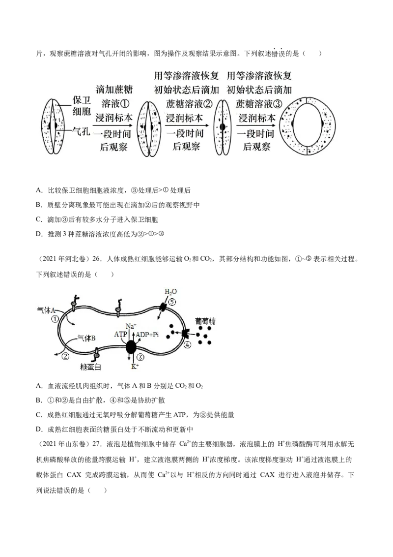 《专题02细胞的物质运输、酶与ATP-十年（2013-2022）高考生物真题分项汇编（全国通用）（学生版）_初高中资料库_高中资料库（转存避免链接过期失效）_高中生物》第9页预览