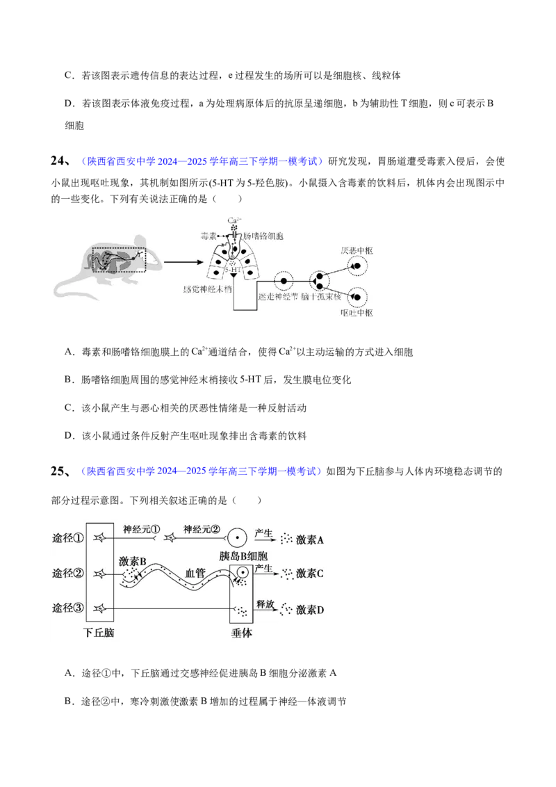《专题08动物生命活动的调节（学生版）_高考一二三轮复习_生物_2026年-生物高考专项复习_2025年高考生物一模试题分类汇编（陕西、陕西、宁夏、青海专用）》第10页预览