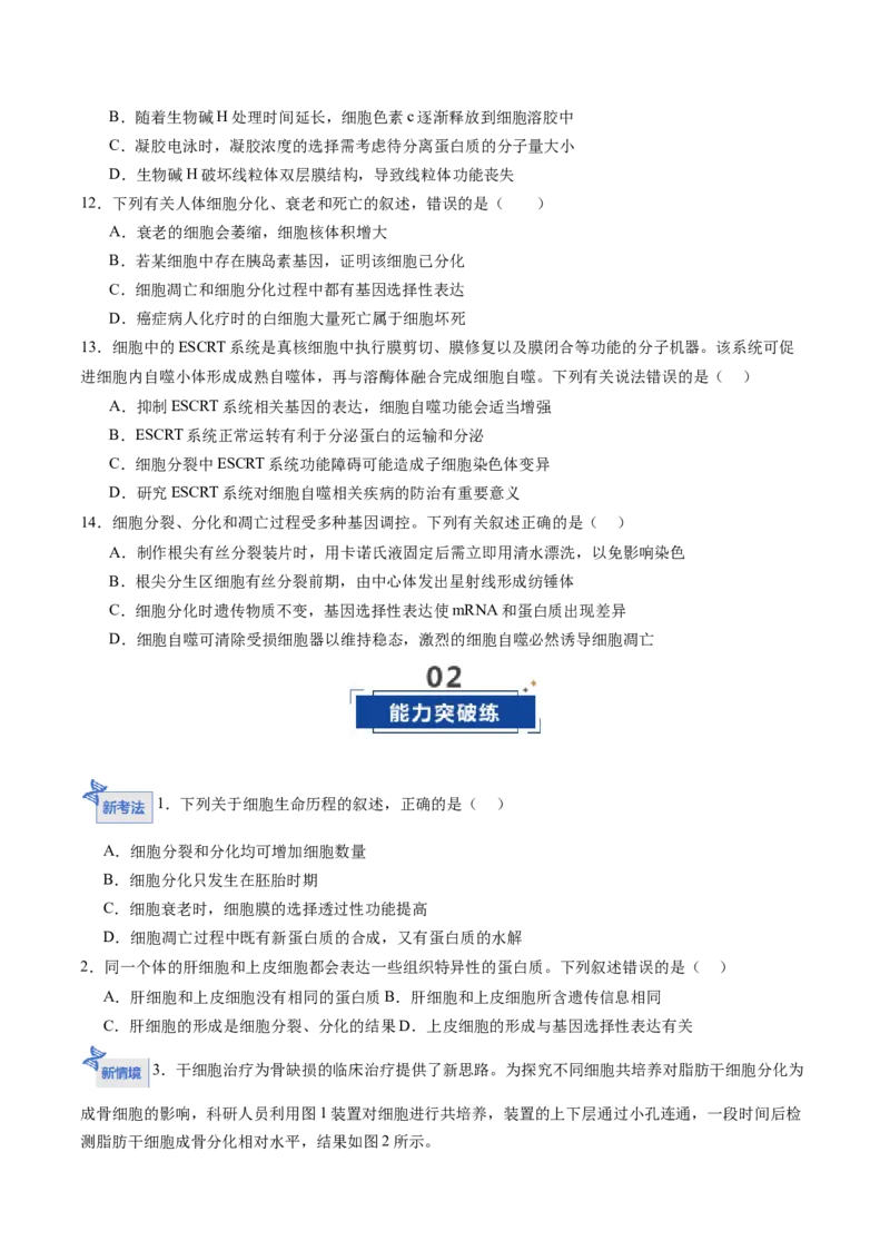 《第13讲细胞的分化、衰老、死亡（专项训练）（黑吉辽蒙专用）（学生版）_高考一二三轮复习_生物_2026年高考生物一轮_2026年高考生物一轮课件+讲义+练习（黑吉辽蒙专用）-G330》第4页预览