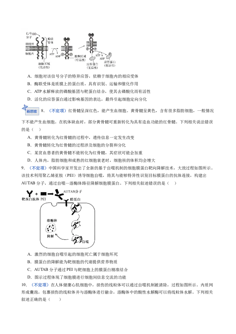 《第13讲细胞的分化、衰老、死亡（专项训练）（黑吉辽蒙专用）（学生版）_高考一二三轮复习_生物_2026年高考生物一轮_2026年高考生物一轮课件+讲义+练习（黑吉辽蒙专用）-G330》第6页预览