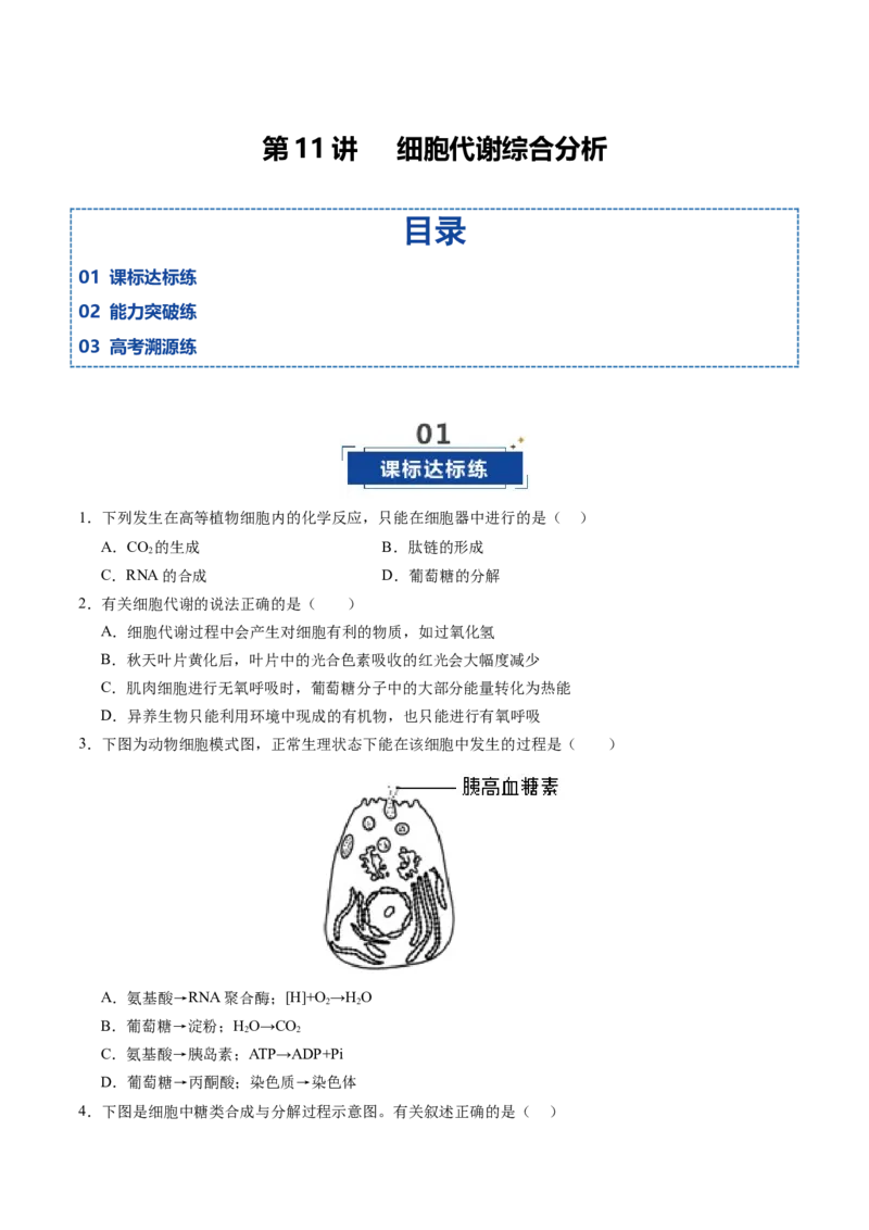 《第11讲细胞代谢综合分析（专项训练）（四川专用）（学生版）_高考一二三轮复习_生物_2026年高考生物一轮_2026年高考生物一轮课件+讲义+练习（四川专用）-G335》第1页预览
