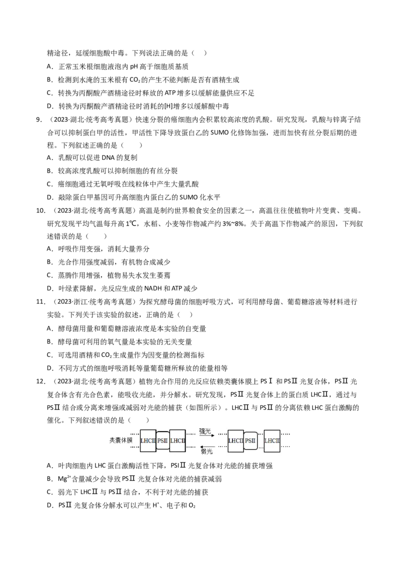 《专题03细胞呼吸与光合作用（学生版）_初高中资料库_高中资料库（转存避免链接过期失效）_高中生物》第3页预览