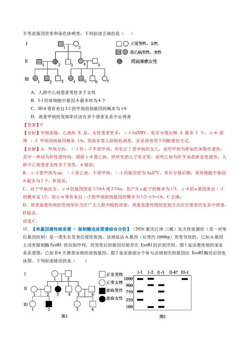 《第17讲伴性遗传和人类遗传病（专项训练）（全国通用）（教师版）_高考一二三轮复习_生物_2027年高考生物一轮_2027年高考生物一轮复习讲义+练习+课件（新教材新高考）-G55_2027版》第7页预览