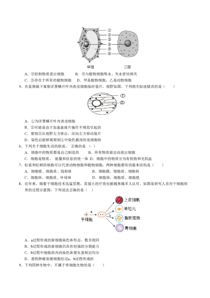 《七年级生物期末模拟卷02（考试版）测试范围：七上全册（人教版2024）_初中全科知识点总结和试卷_赠送习题试卷_初中3年学习辅助资料_5、期末试卷合集》第2页预览