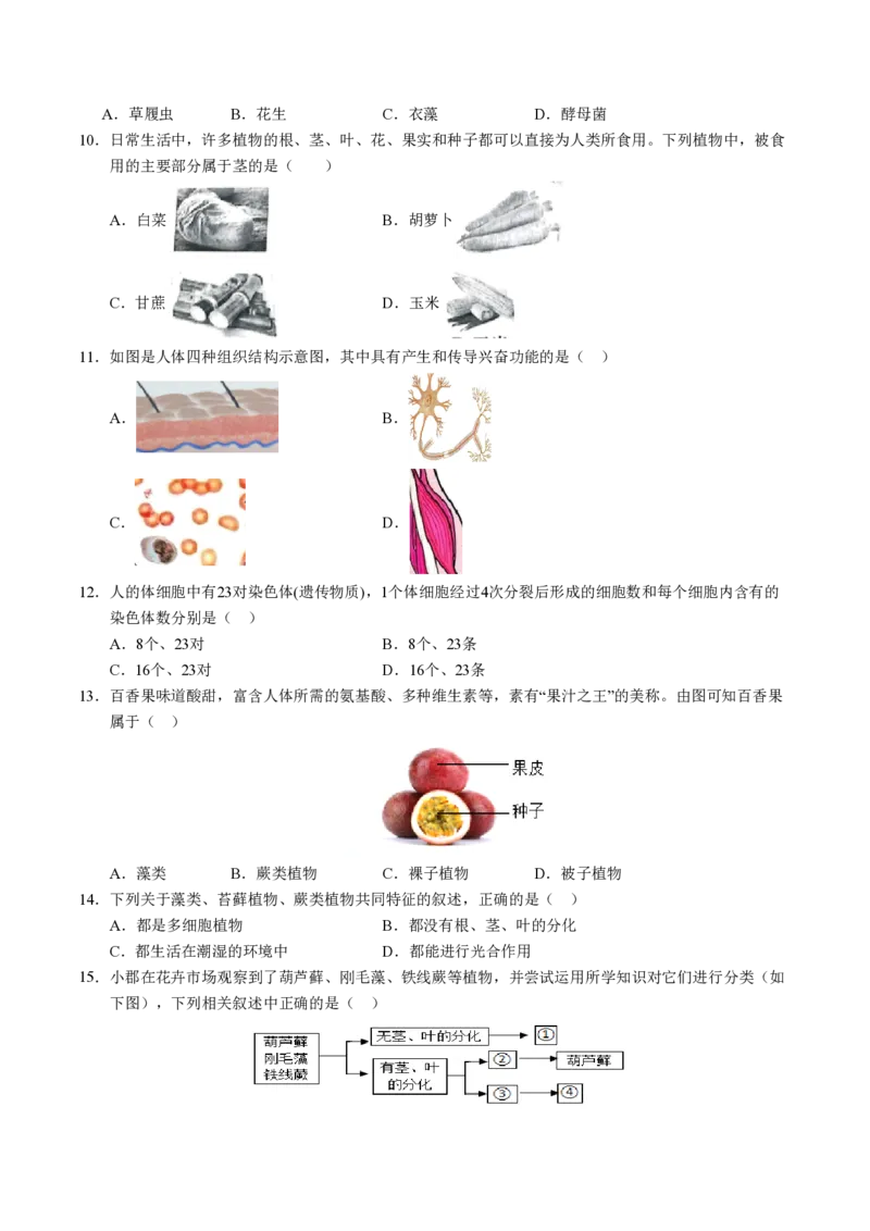 《七年级生物期末模拟卷02（考试版）测试范围：七上全册（人教版2024）_初中全科知识点总结和试卷_赠送习题试卷_初中3年学习辅助资料_5、期末试卷合集》第3页预览