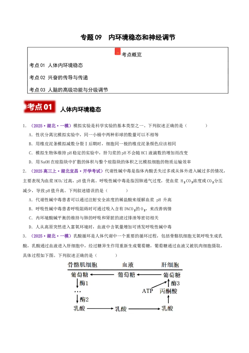 《专题09内环境稳态和神经调节（学生版）_高考一二三轮复习_生物_2026年-生物高考专项复习_2025年高考生物一模试题分类汇编（湖北专用）》第1页预览