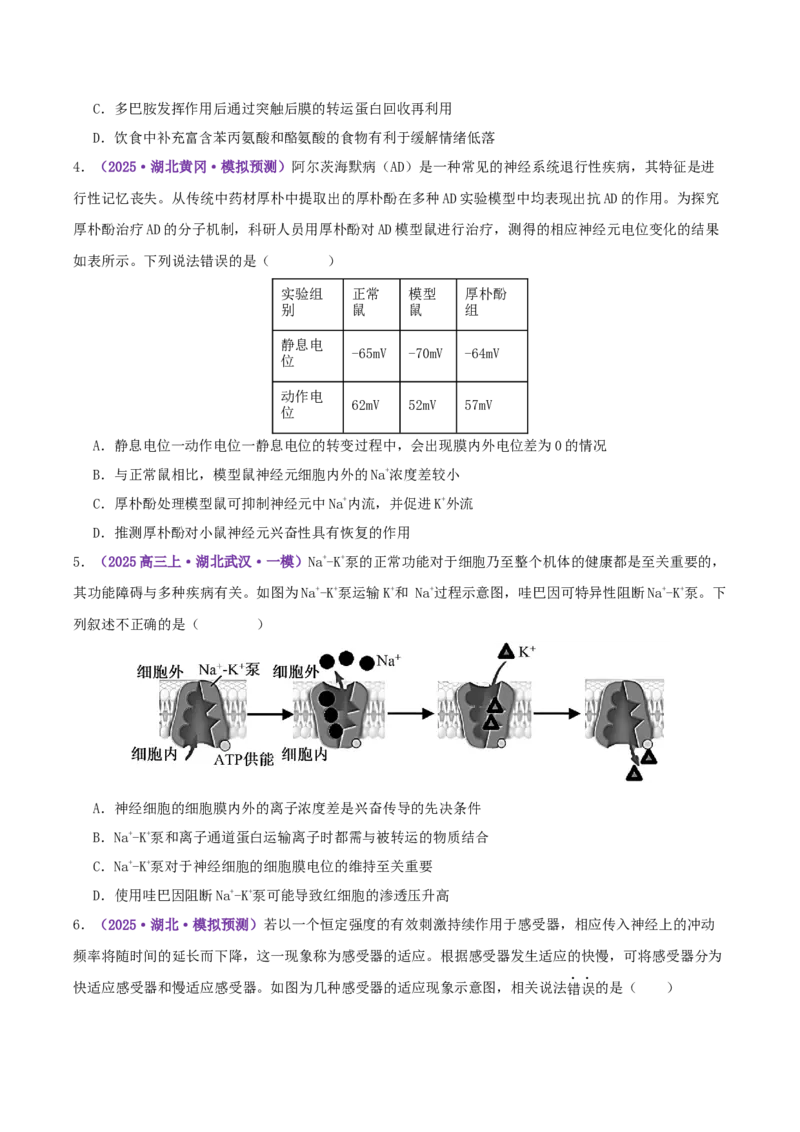 《专题09内环境稳态和神经调节（学生版）_高考一二三轮复习_生物_2026年-生物高考专项复习_2025年高考生物一模试题分类汇编（湖北专用）》第5页预览