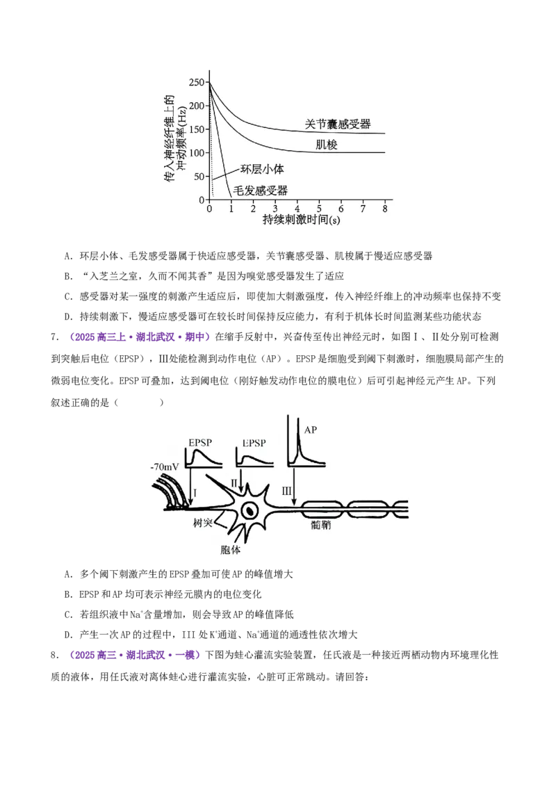 《专题09内环境稳态和神经调节（学生版）_高考一二三轮复习_生物_2026年-生物高考专项复习_2025年高考生物一模试题分类汇编（湖北专用）》第6页预览