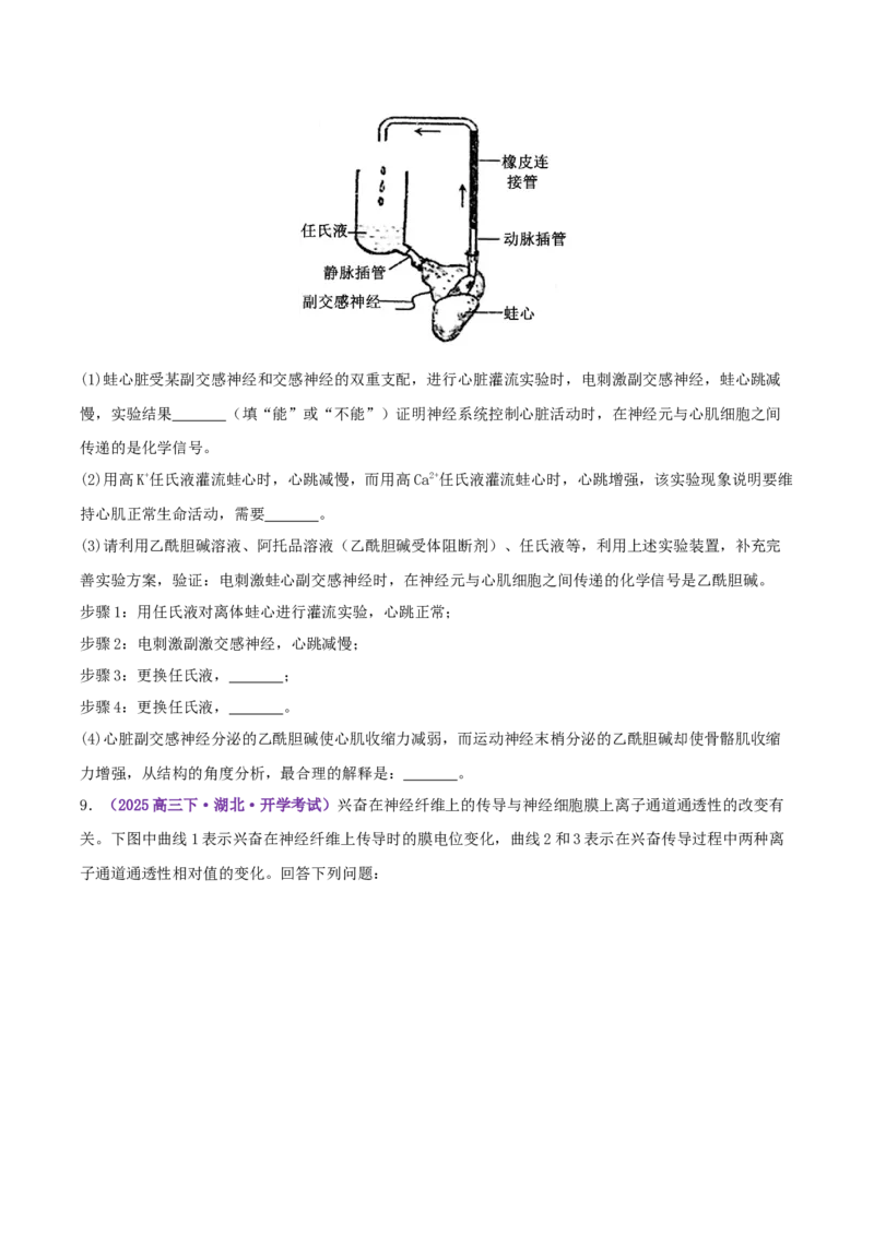 《专题09内环境稳态和神经调节（学生版）_高考一二三轮复习_生物_2026年-生物高考专项复习_2025年高考生物一模试题分类汇编（湖北专用）》第7页预览