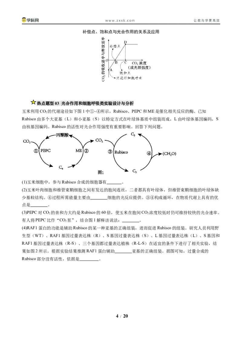 《压轴题01光合作用和细胞呼吸（原卷版）_高考一二三轮复习_生物_生物三轮冲刺_压轴题2025年高考生物压轴题攻略》第4页预览