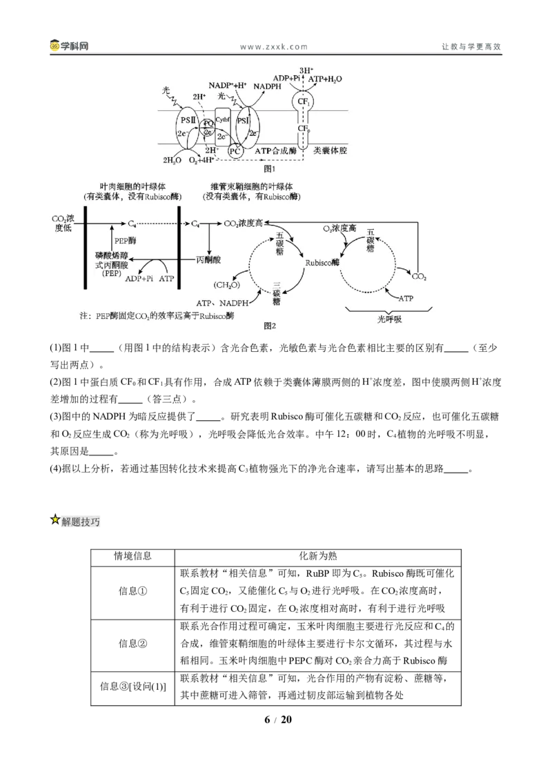 《压轴题01光合作用和细胞呼吸（原卷版）_高考一二三轮复习_生物_生物三轮冲刺_压轴题2025年高考生物压轴题攻略》第6页预览