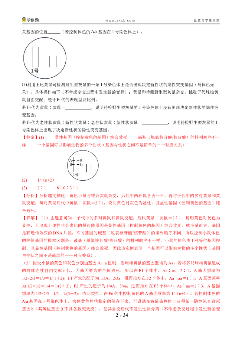 《压轴题02遗传与变异（解析版）_高考一二三轮复习_生物_生物三轮冲刺_压轴题2025年高考生物压轴题攻略》第2页预览