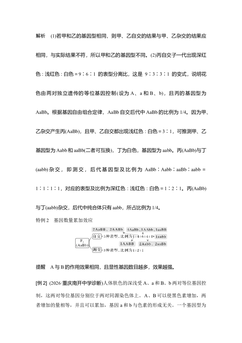 《第20讲自由组合定律中特殊分离比、探究不同对基因在常染色体上的位置_高考一二三轮复习_生物_2027年高考生物一轮_12027年高考生物一轮复习讲义（考点详解）》第2页预览