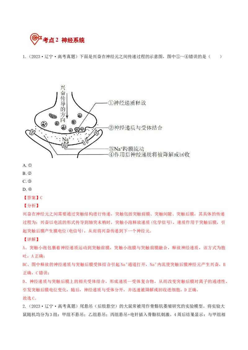 《专题08动物生命活动调节（6年汇编）（黑吉辽蒙专用）（教师版）_高考一二三轮复习_生物_2027年高考生物专项_五年（2022-2026）高考生物真题分类汇编（黑吉辽蒙专用）-G341》第3页预览