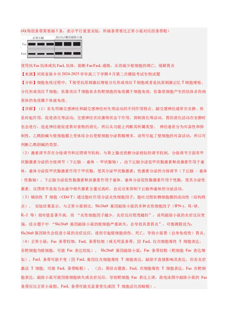 《专题08免疫调节与植物生命活动的调节（教师版）_高考一二三轮复习_生物_2026年-生物高考专项复习_2025年高考生物二模试题分类汇编（河南专用）》第8页预览