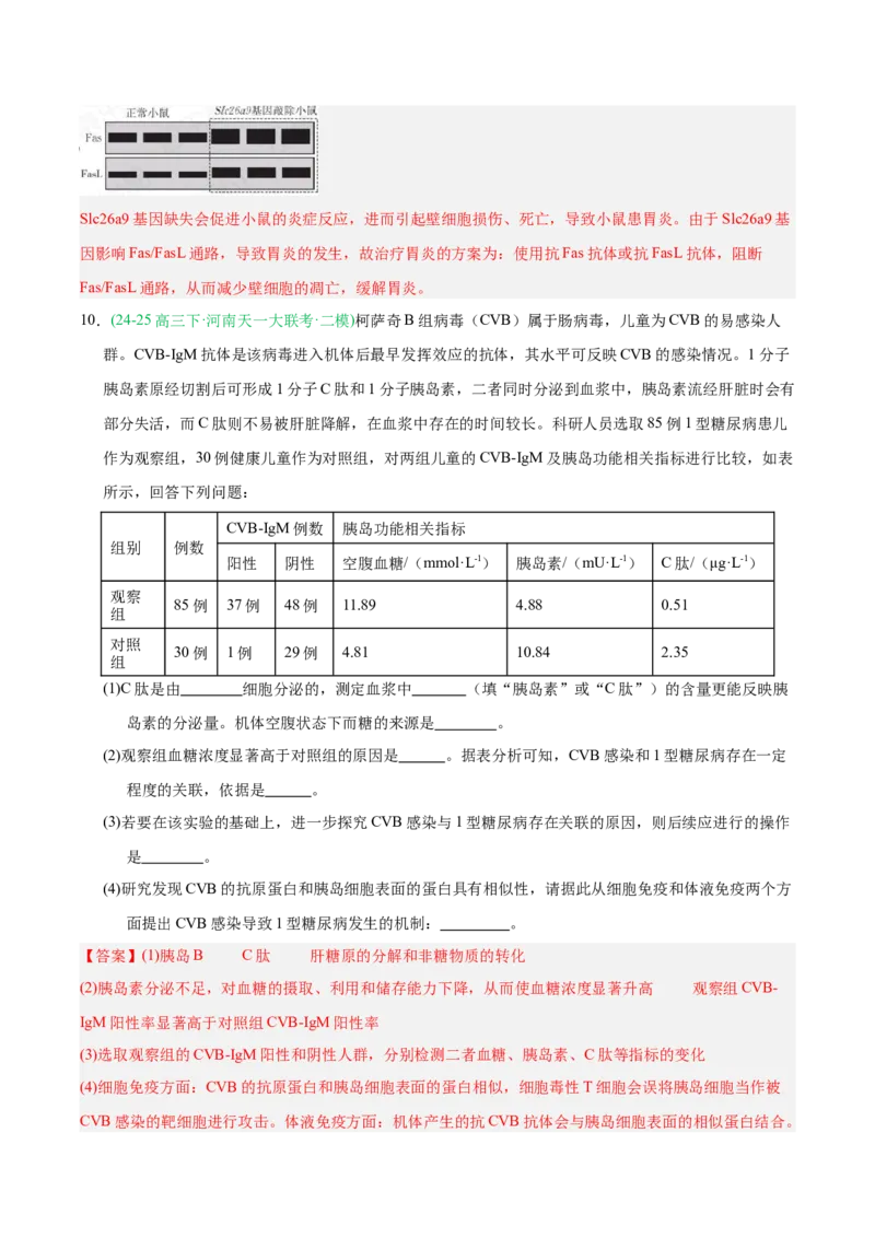 《专题08免疫调节与植物生命活动的调节（教师版）_高考一二三轮复习_生物_2026年-生物高考专项复习_2025年高考生物二模试题分类汇编（河南专用）》第9页预览