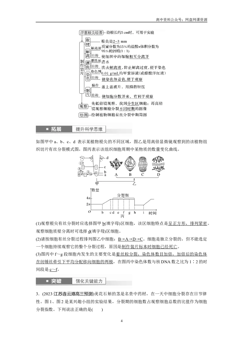 《2024年高考生物一轮复习（新人教版）第4单元　第2课时　有丝分裂过程中相关变化及观察实验_初高中资料库_高中资料库（转存避免链接过期失效）_高中生物》第4页预览