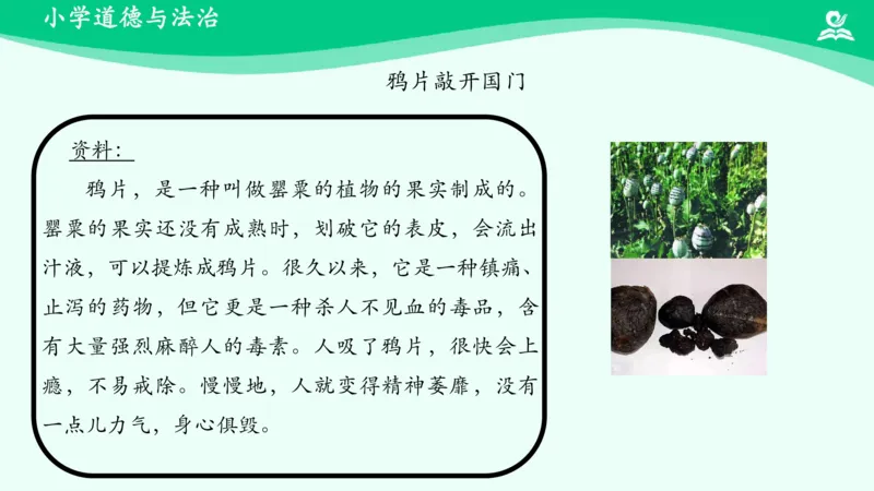 《第7课不甘屈辱奋勇抗争_课件1_小学道法资料_《课后练习+学习任务单》_小学道德与法治统编版五年级下册_小学道德与法治统编版五年级下册》第6页预览