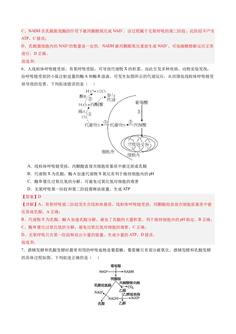 《第09讲细胞呼吸（专项训练）（四川专用）（教师版）_高考一二三轮复习_生物_2026年高考生物一轮_2026年高考生物一轮课件+讲义+练习（四川专用）-G335》第4页预览