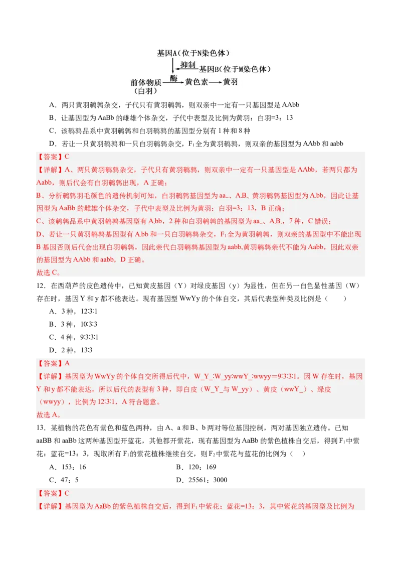 《第16讲自由组合定律（专项训练）（四川专用）（教师版）_高考一二三轮复习_生物_2026年高考生物一轮_2026年高考生物一轮课件+讲义+练习（四川专用）-G335》第6页预览