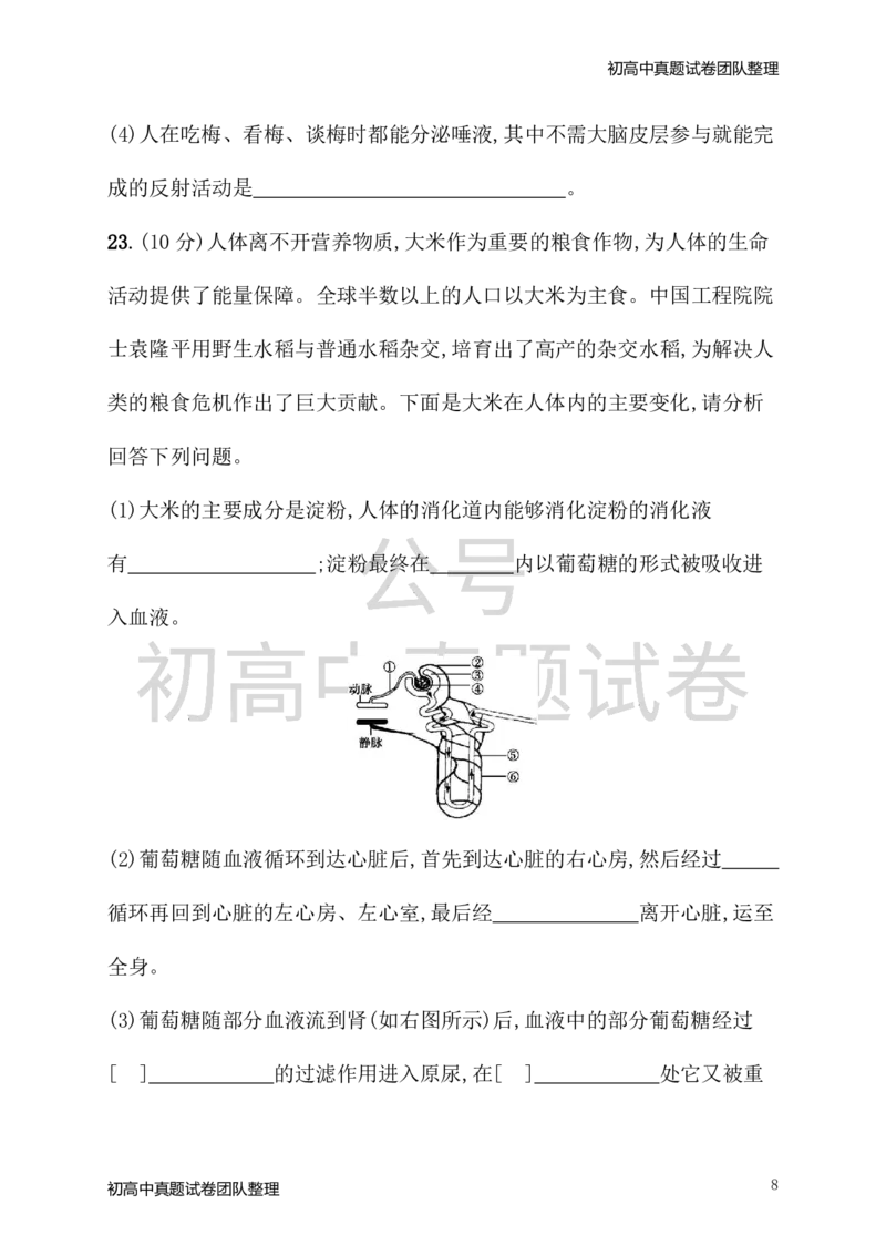 《七年级生物下册期末测评1新版新人教版_20220725171441_初高中资料库_初中资料库（转存避免链接过期失效）_初中生物》第8页预览