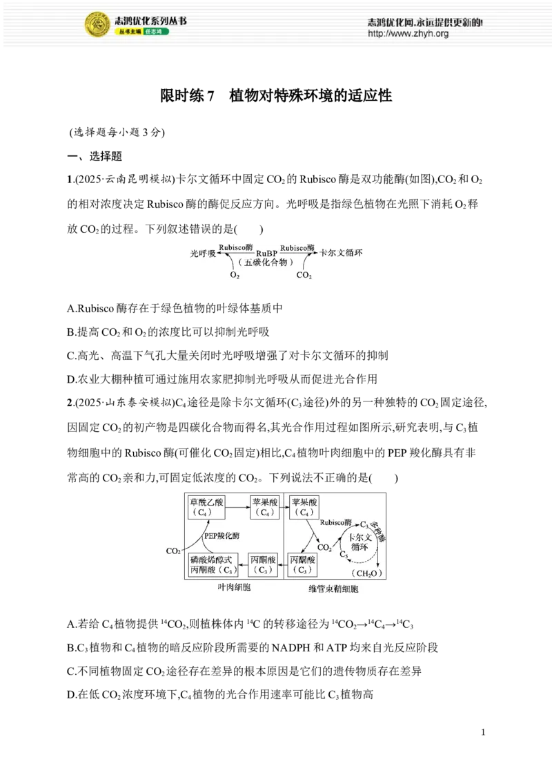 《限时练7　植物对特殊环境的适应性_2026版高中《二三轮复习+冲刺复习》_高考总复习优化设计二轮用书生物课后习题Word_课后习题_大单元2　细胞的生存需要能量和营养物质》第1页预览