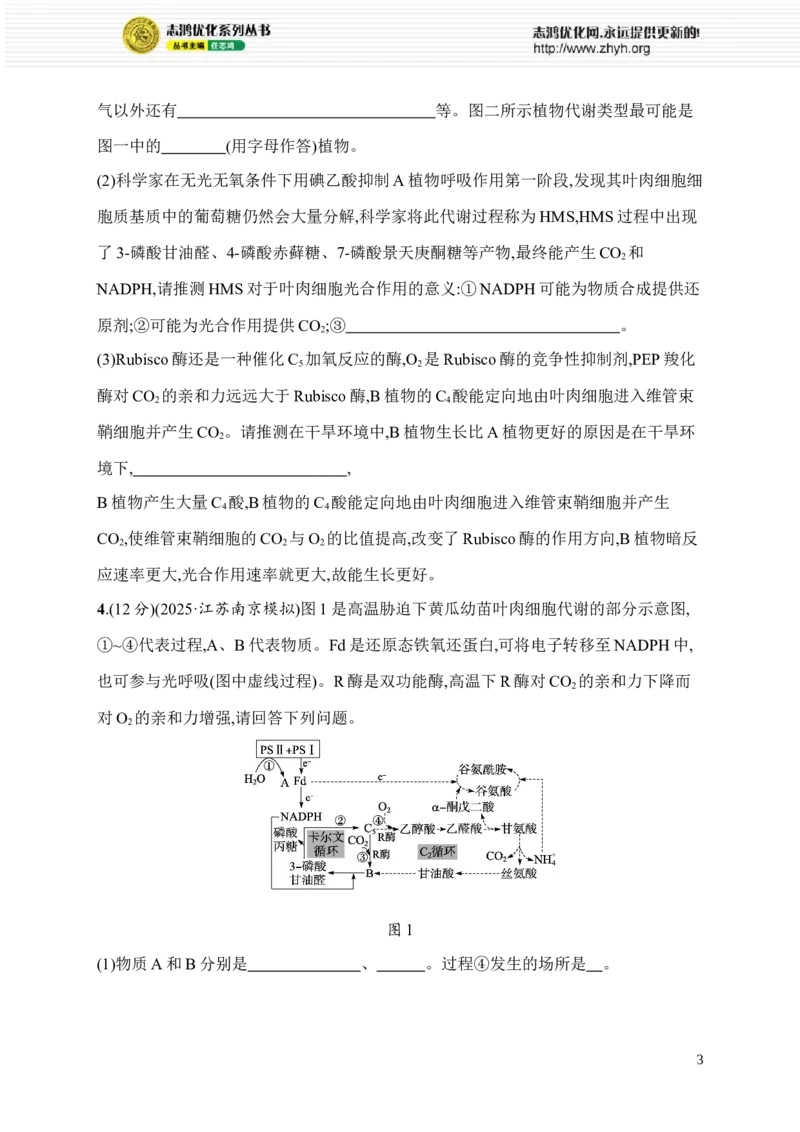 《限时练7　植物对特殊环境的适应性_2026版高中《二三轮复习+冲刺复习》_高考总复习优化设计二轮用书生物课后习题Word_课后习题_大单元2　细胞的生存需要能量和营养物质》第3页预览