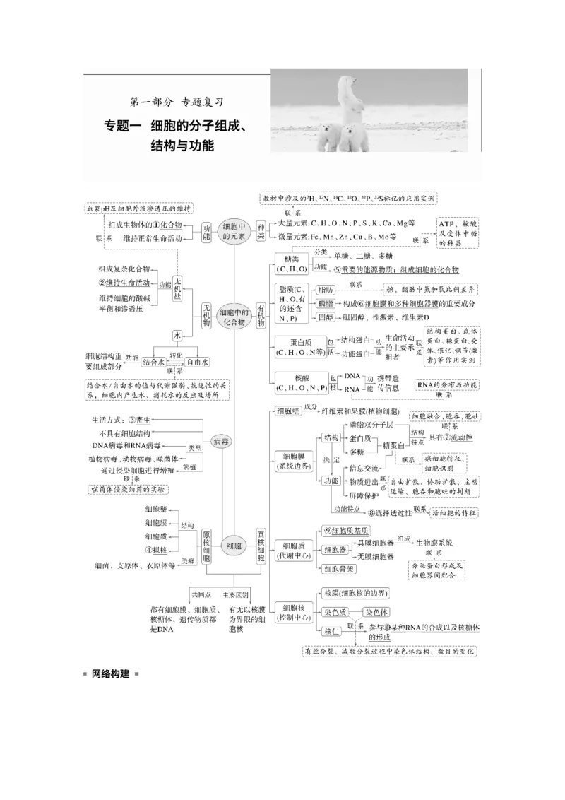 《第一部分 专题一 必备整合 细胞的物质组成、结构和物质运输(1)_2026版高中《二三轮复习+冲刺复习》_教师用书Word版文档_第一部分 专题复习》第1页预览