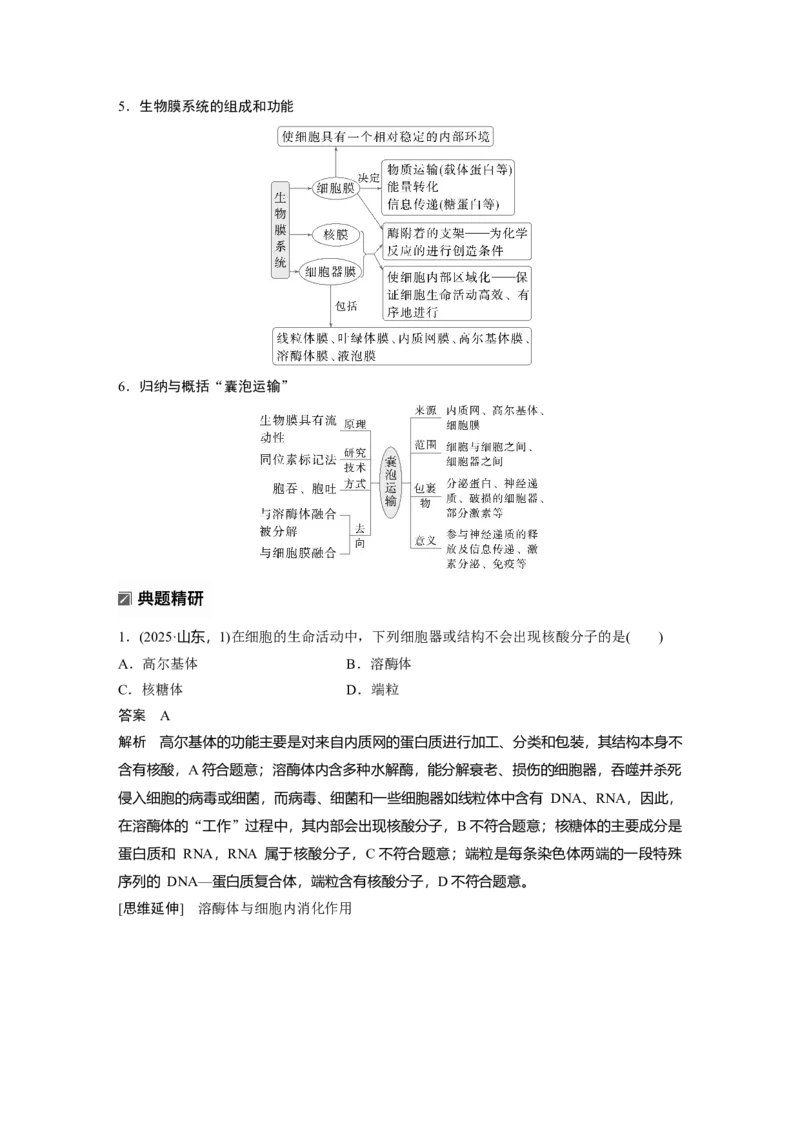 《第一部分 专题一 必备整合 细胞的物质组成、结构和物质运输(1)_2026版高中《二三轮复习+冲刺复习》_教师用书Word版文档_第一部分 专题复习》第10页预览