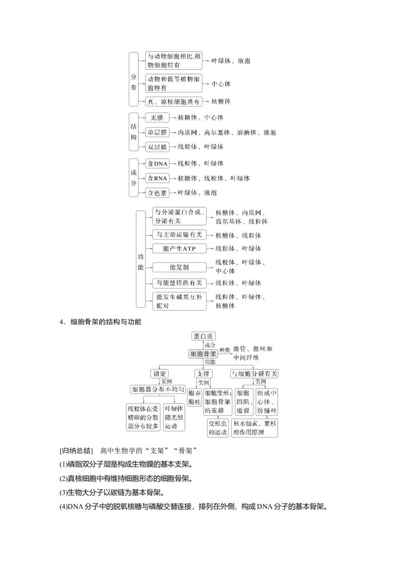 《第一部分 专题一 必备整合 细胞的物质组成、结构和物质运输(1)_2026版高中《二三轮复习+冲刺复习》_教师用书Word版文档_第一部分 专题复习》第9页预览