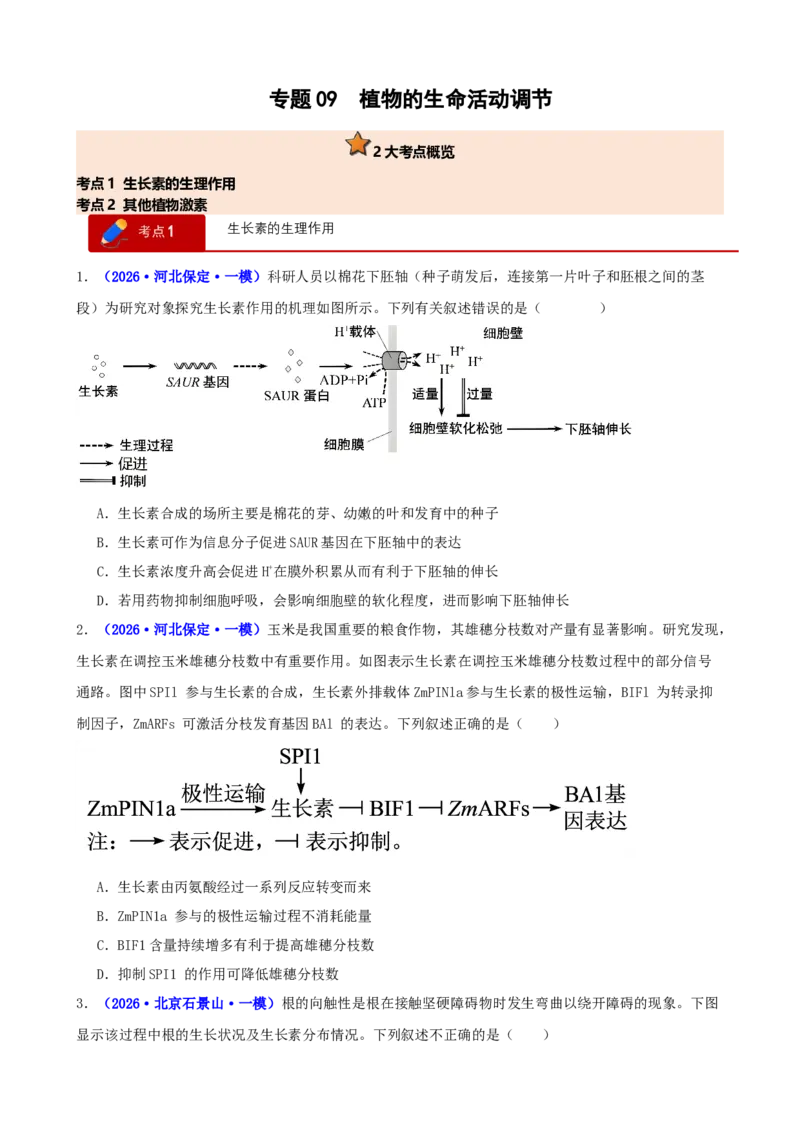 《专题09植物的生命活动调节（学生版）(1)_高考一二三轮复习_生物_2027年高考生物专项_2026年高考生物一模试题分类汇编（新高考通用）-G178_2026版》第1页预览