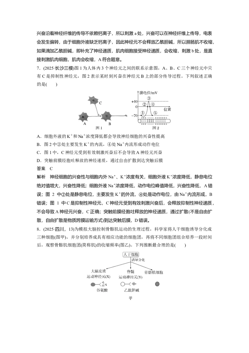 《第一部分　专题六　专题强化练　神经调节_2026版高中《二三轮复习+冲刺复习》_教师用书Word版文档_第一部分　专题复习》第4页预览