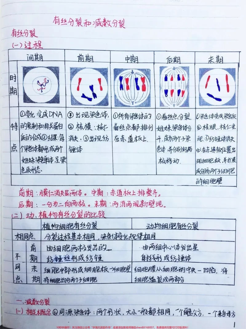 《高中生物必修二有丝分裂-减数分裂详细复习笔记，期中考试就可以用上#高中生物#每天学习一点点#手写笔记#图文伙伴计划#qunju888.com图文来了_初中一线老师整理版资源（全网独家）》第1页预览