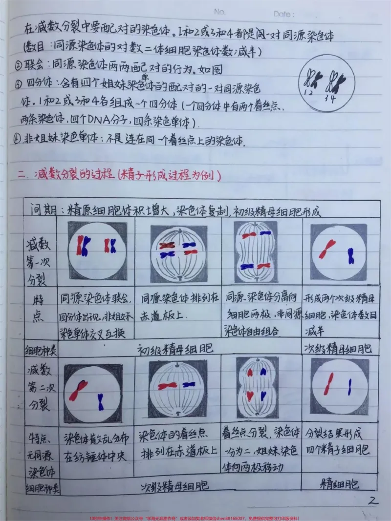 《高中生物必修二有丝分裂-减数分裂详细复习笔记，期中考试就可以用上#高中生物#每天学习一点点#手写笔记#图文伙伴计划#qunju888.com图文来了_初中一线老师整理版资源（全网独家）》第2页预览