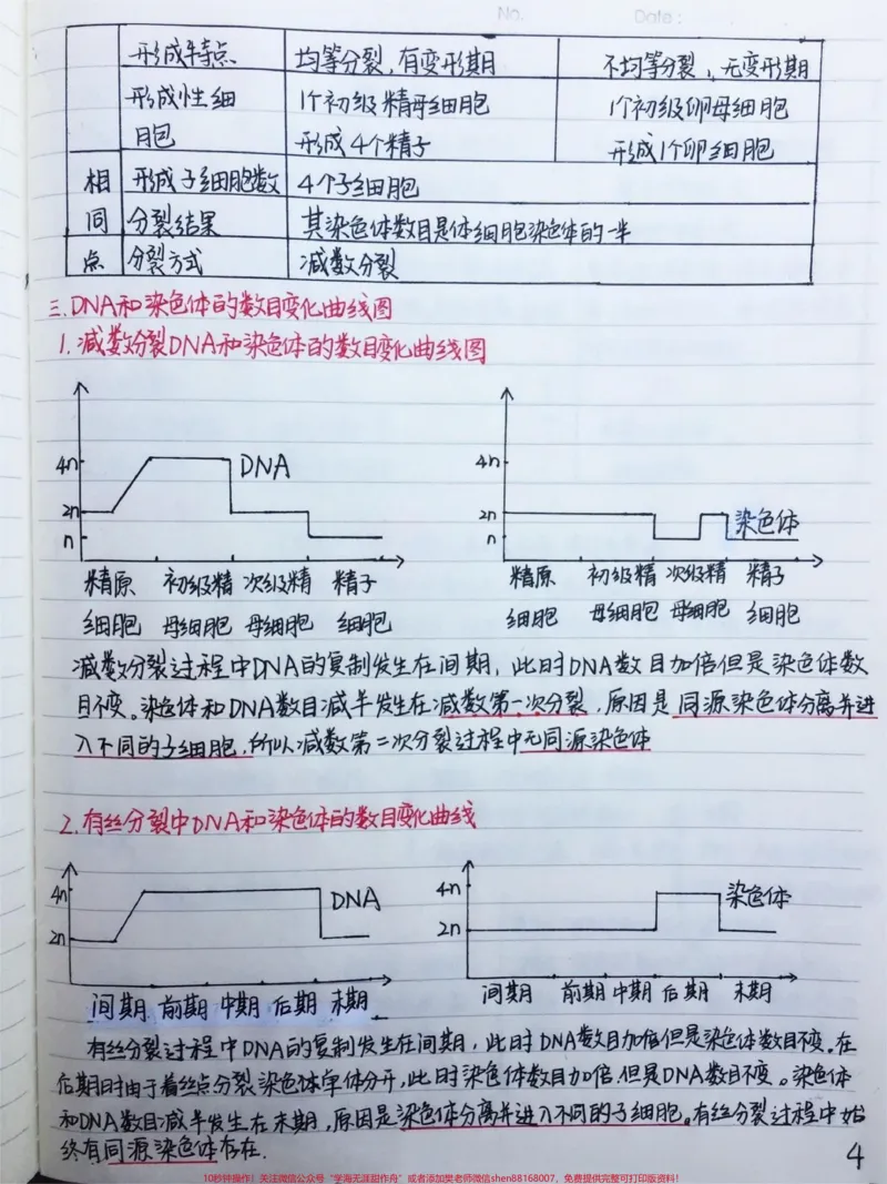 《高中生物必修二有丝分裂-减数分裂详细复习笔记，期中考试就可以用上#高中生物#每天学习一点点#手写笔记#图文伙伴计划#qunju888.com图文来了_初中一线老师整理版资源（全网独家）》第4页预览