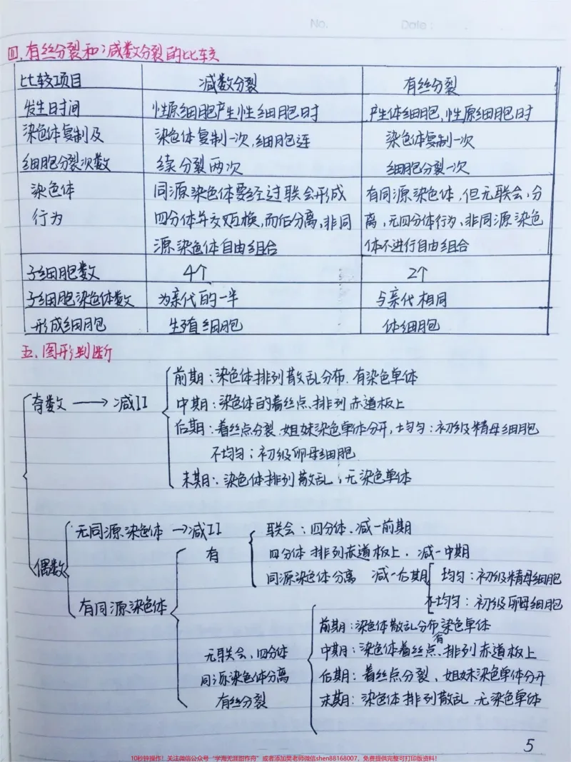 《高中生物必修二有丝分裂-减数分裂详细复习笔记，期中考试就可以用上#高中生物#每天学习一点点#手写笔记#图文伙伴计划#qunju888.com图文来了_初中一线老师整理版资源（全网独家）》第5页预览