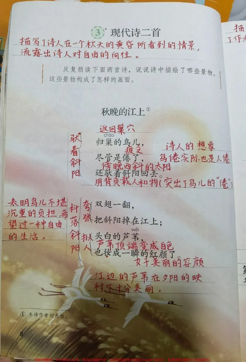 《四年级上册语文学霸笔记来啦。#四年级#知识点总结#作文#小学语文#学习_最新小学1-9年级各科+幼升小+综合类学习资源汇总包_四年级一线老师整理版资源（全网独家）》第1页预览