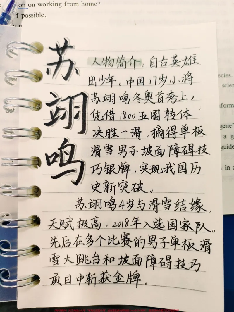 《每天一个作文人物素材——苏翊鸣#作文#作文素材#苏翊鸣#图文伙伴计划#qunju888.com图文来了_最新小学1-9年级各科+幼升小+综合类学习资源汇总包_初中一线老师整理版资源（全网独家）》第1页预览