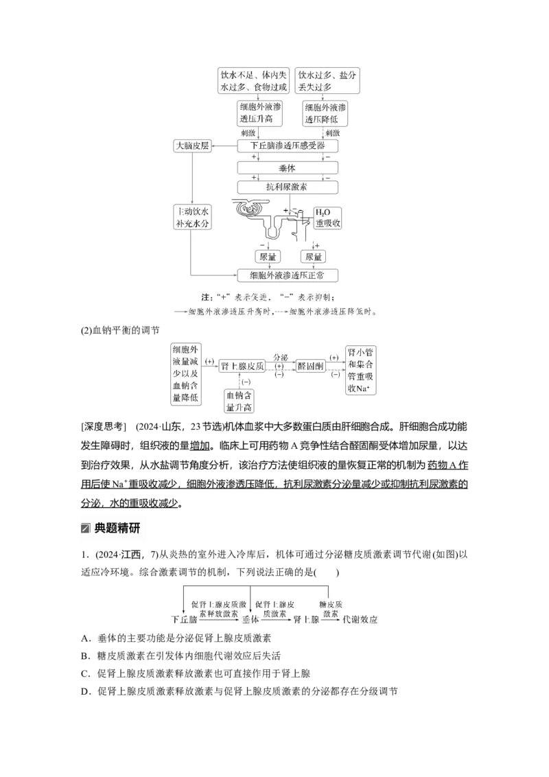 《第一部分　专题六　必备整合2　体液调节(1)_2026版高中《二三轮复习+冲刺复习》_教师用书Word版文档_第一部分　专题复习》第4页预览
